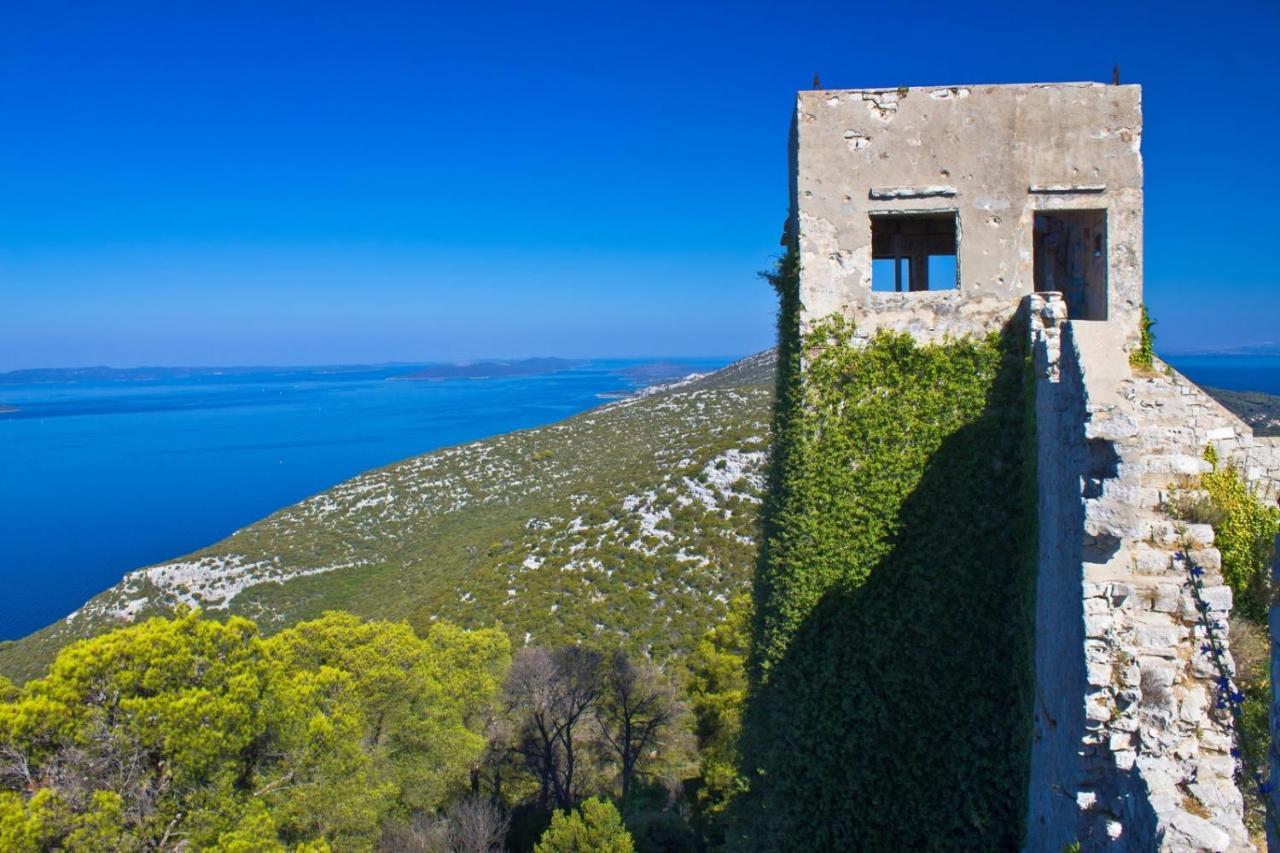 Studio Apartment In Preko With Sea View, Terrace, Air Conditioning, Wi-Fi Eksteriør bilde